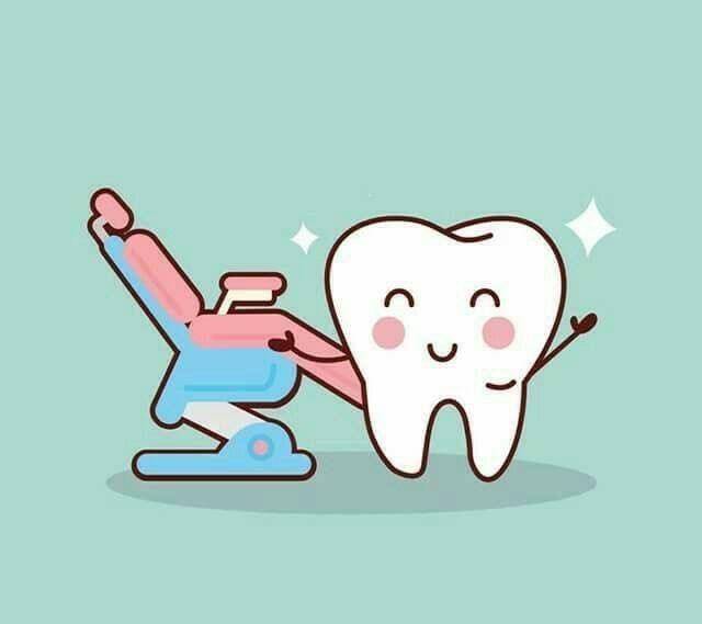 How to distinguish good dental bed